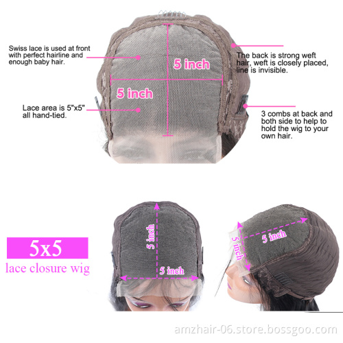 Factory Supplier 5X5 HD Lace Closure Human Hair Wigs For Black Women  Peruvian Glueless Natural Straight Human Hair Wig In Stock